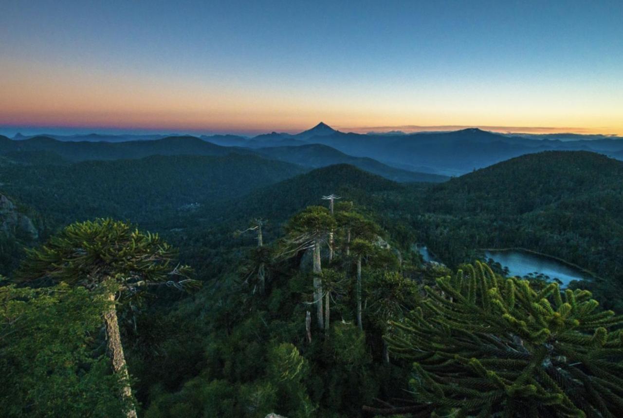 شقة Pucon, La Capital Del Sur De Chile المظهر الخارجي الصورة