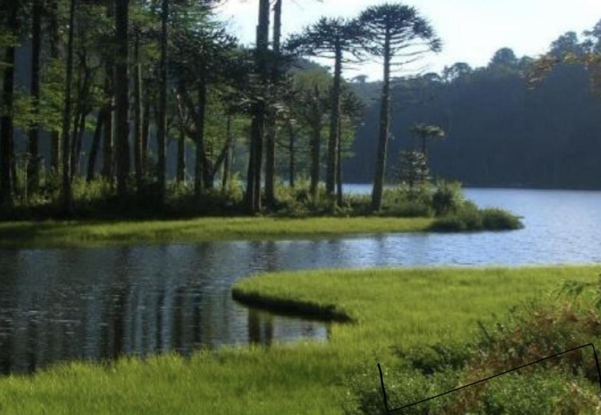 شقة Pucon, La Capital Del Sur De Chile المظهر الخارجي الصورة