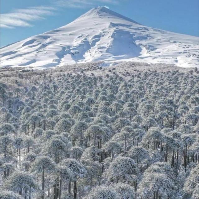 شقة Pucon, La Capital Del Sur De Chile المظهر الخارجي الصورة